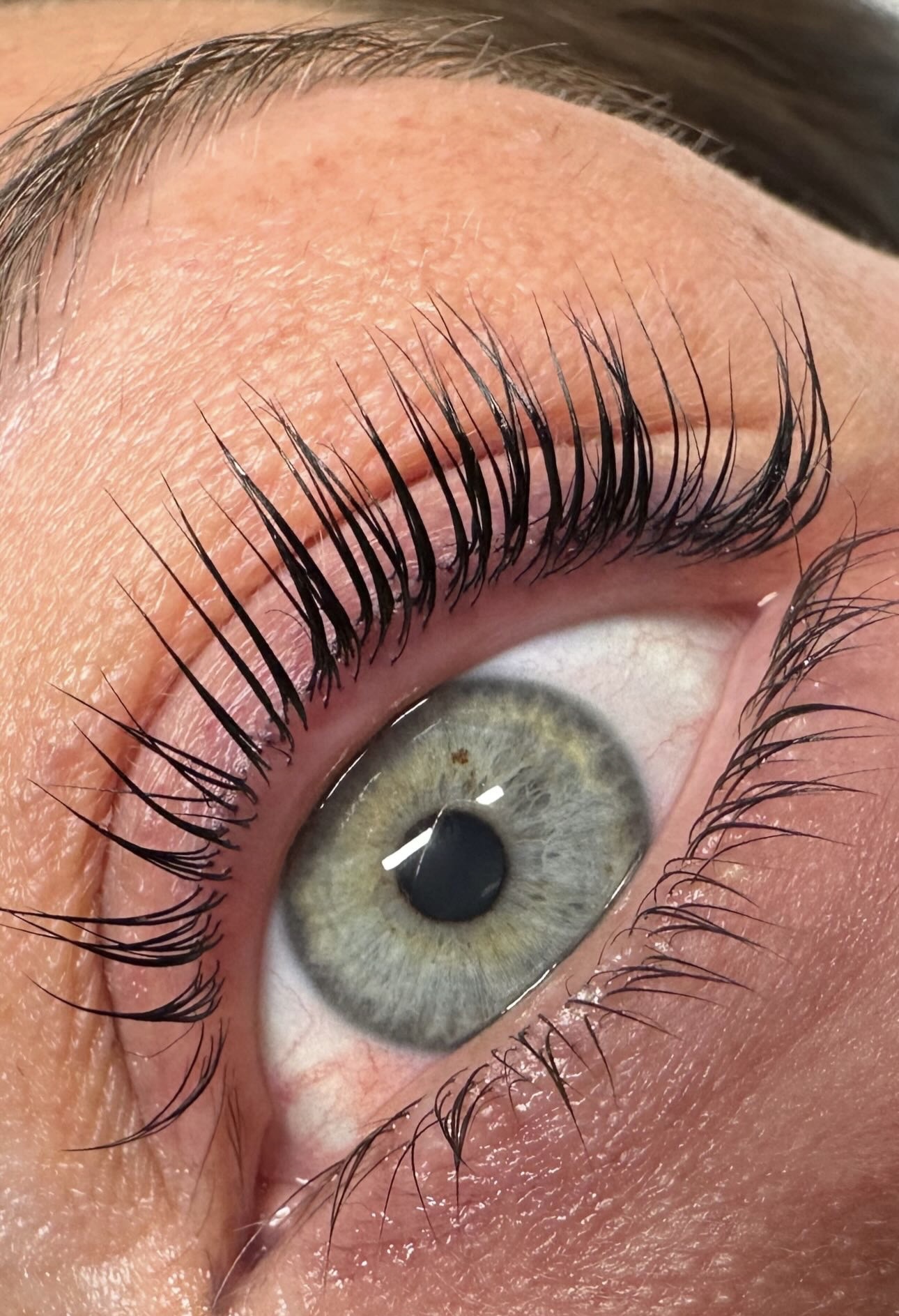 Augenbrauen & Wimpern